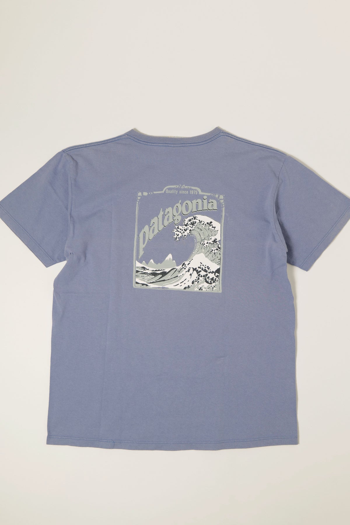 90's Patagonia "北斎" Tee